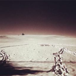 26540292_1767253320015484_1608394425_o