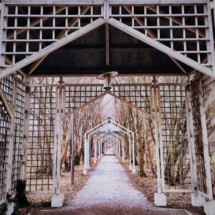 26906688_1785666238174192_290438880_o